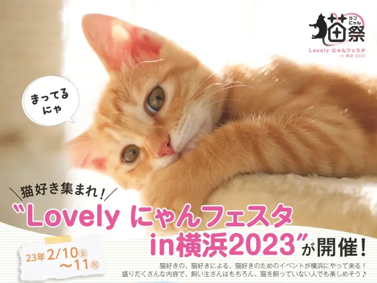 猫祭“Lovely にゃんフェスタ in 横浜2023”